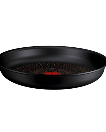 Tefal Ingenio Excellence Fusion Stegepande ø28